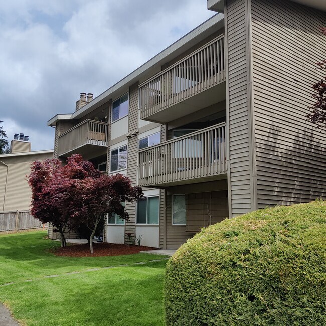 Timber Ridge Apartments Kirkland, WA Apartment Finder