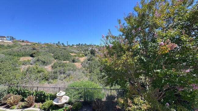 Building Photo - Luxury 4 Bedroom Home in La Costa Greens