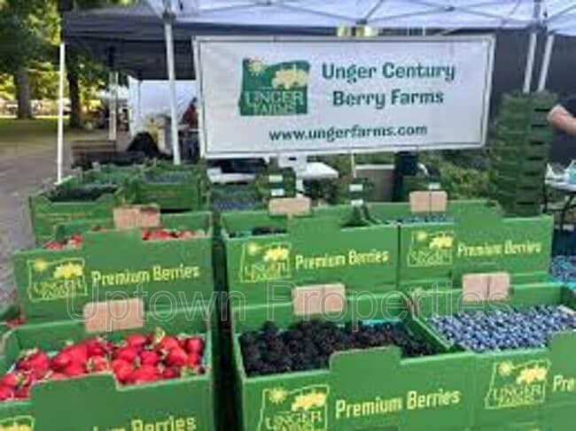 Building Photo - 466 N Adair St