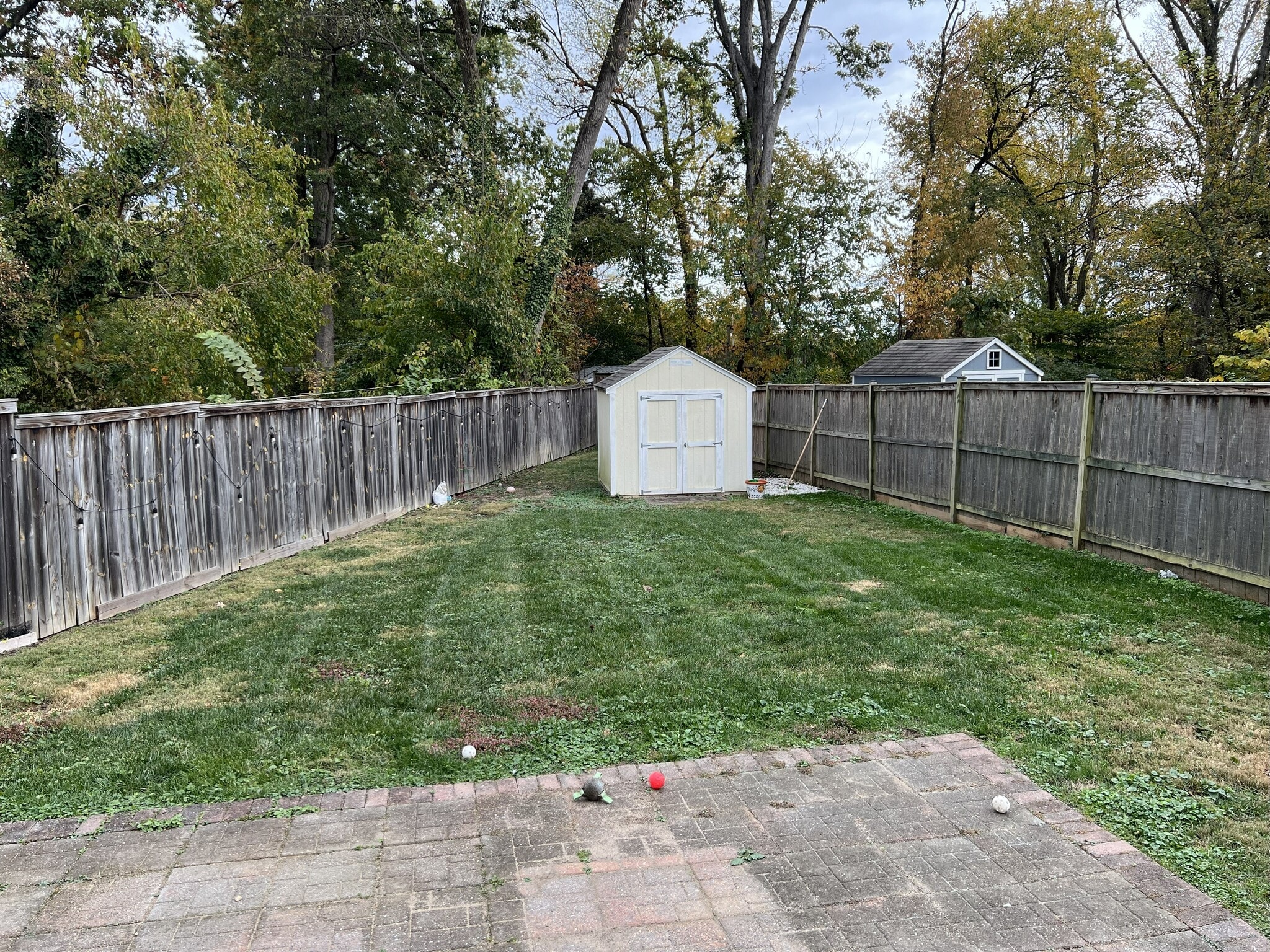 Backyard - 45 Oswego Ave