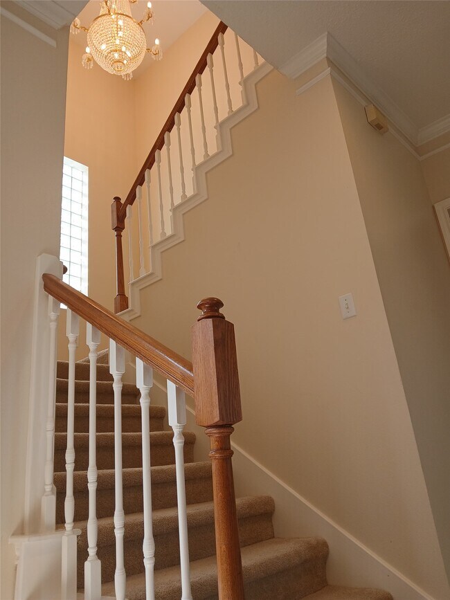 Building Photo - 9230 Rouge Cir