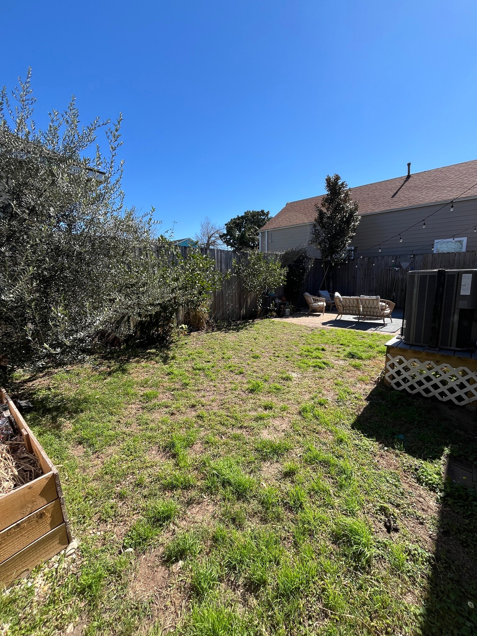 Backyard - 1825 7th St