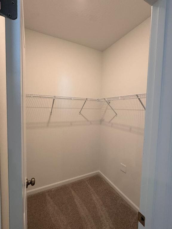 Building Photo - 5530 Morant Bay Path