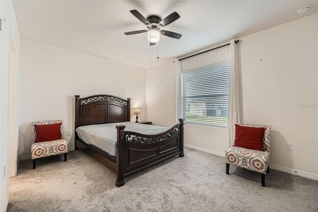 Building Photo - 32246 Turtle Grace Lp
