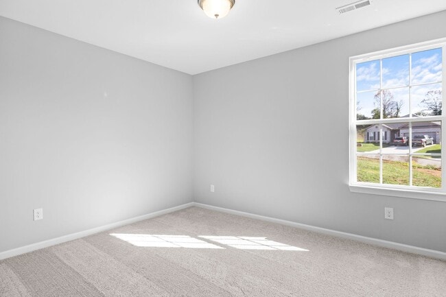 Building Photo - Brand-New 4 Bedroom Home in Beautiful Mary...