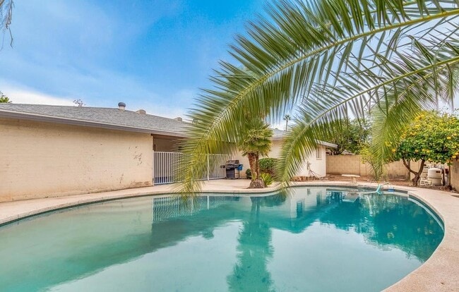 Building Photo - 2439 E Del Rio Dr