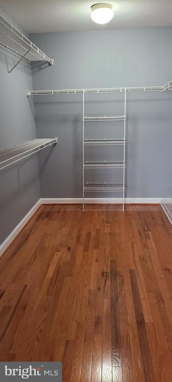 Building Photo - 15309 Lions Den Rd