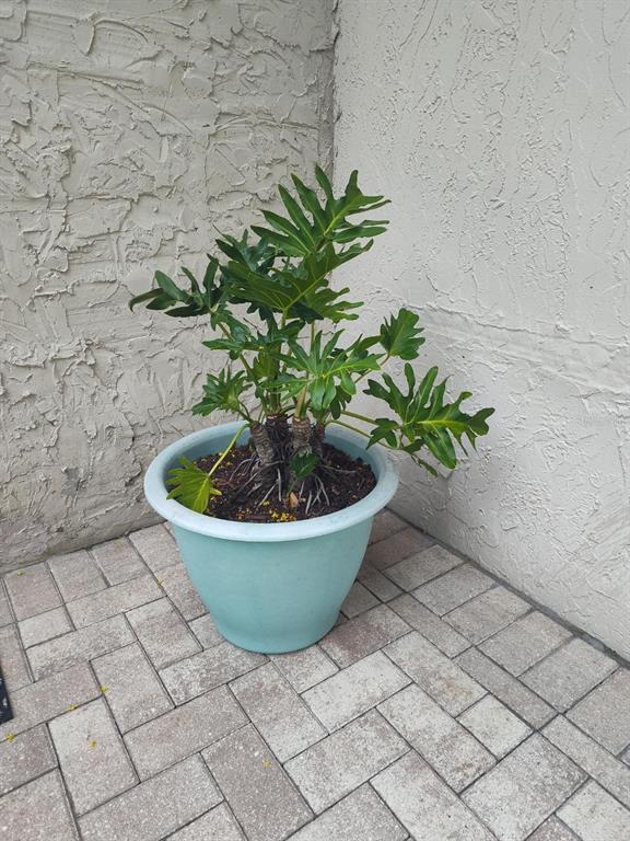 Building Photo - 901 Peninsula Rd