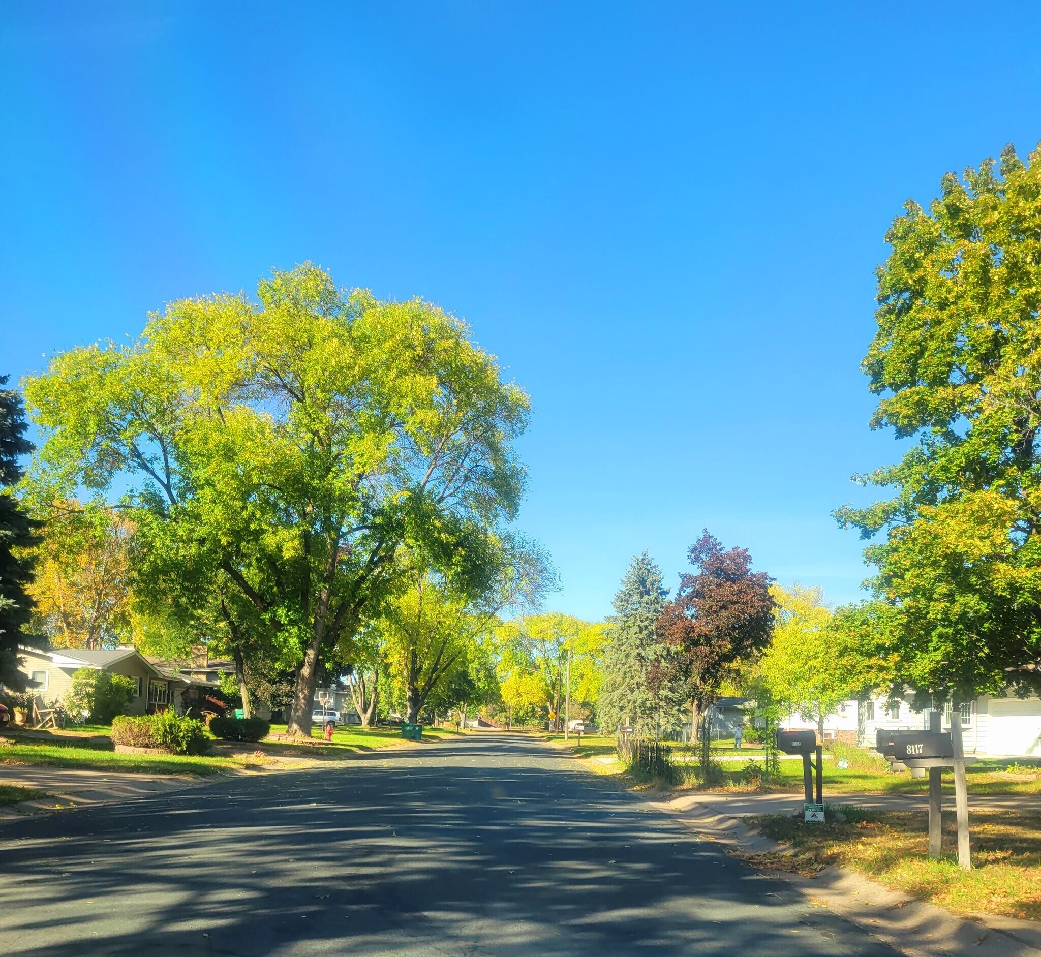 Building Photo - 5401 82nd Ave N