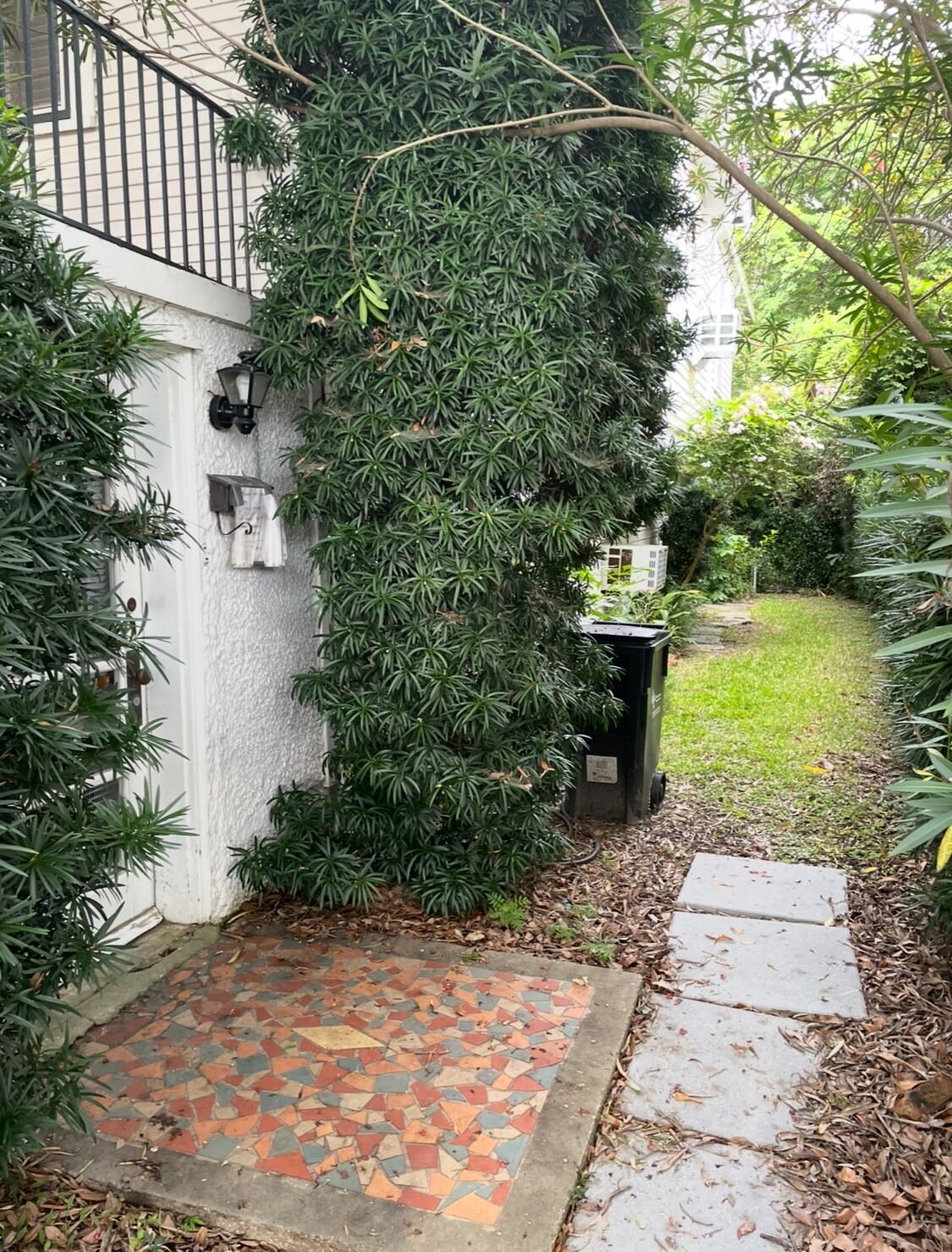 Private side yard - 912 Wilson Dr