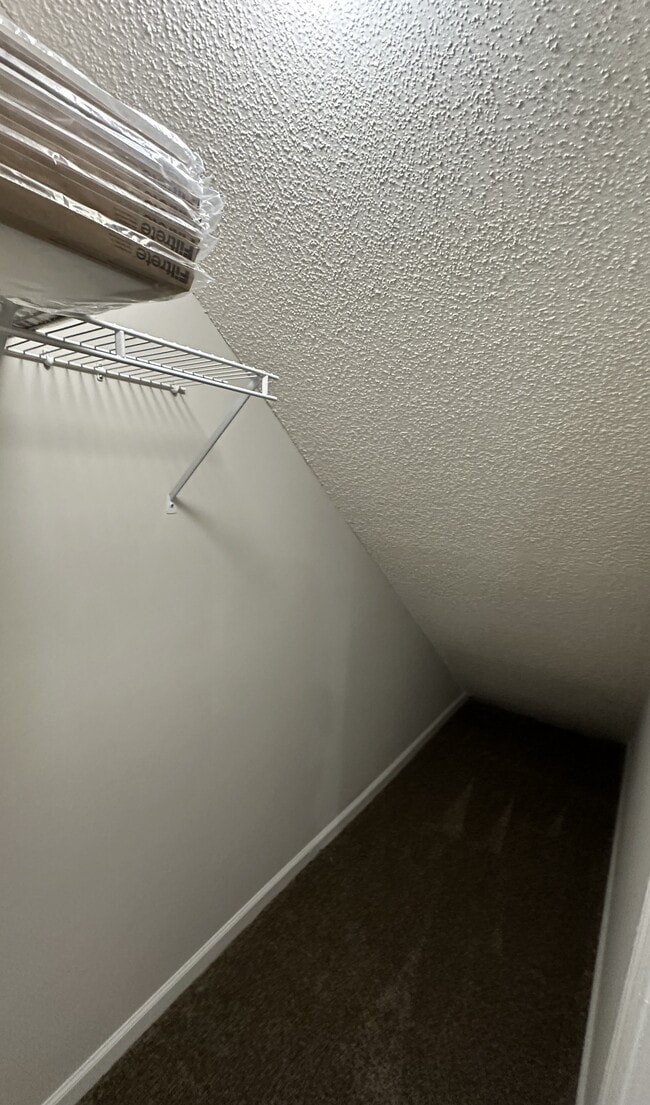 Large walk-in closet off the living room. - 1211 Goldridge Dr SW