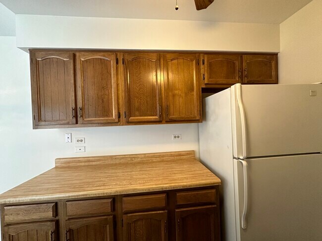 Building Photo - 2724 Weeping Willow Dr
