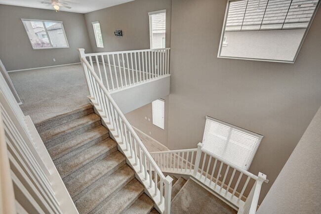 Building Photo - Modern 4 Bedroom Home in the Terraces at Providence Coming Soon