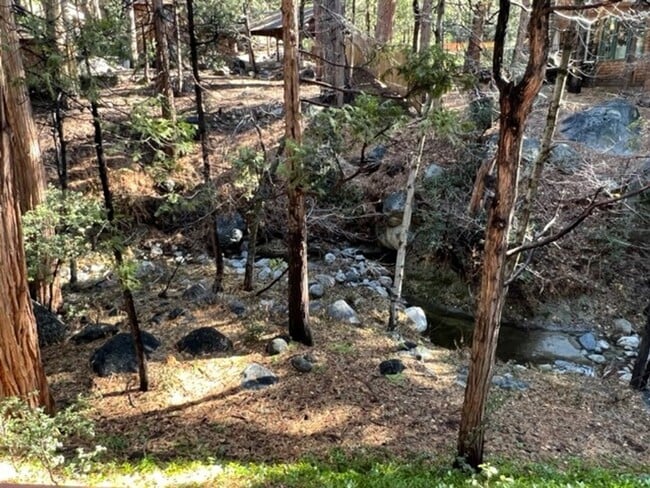 Building Photo - Creek Cabin In Idyllwild
