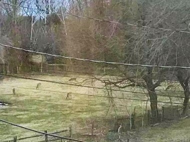 Building Photo - 50 Buckwalter Rd