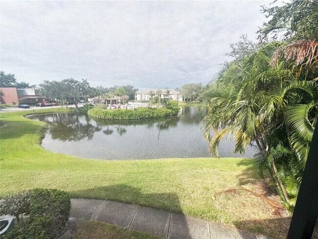 Building Photo - 10263 Gandy Blvd N