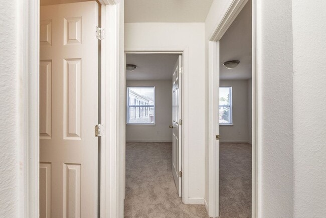 Building Photo - Two-bedroom Unit in Richmond Condo