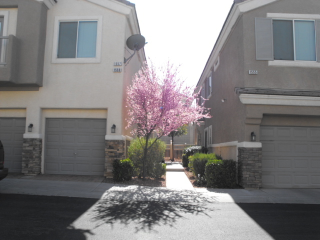 Spacious Henderson townhouse featuring 3... - Spacious Henderson townhouse featuring   3...