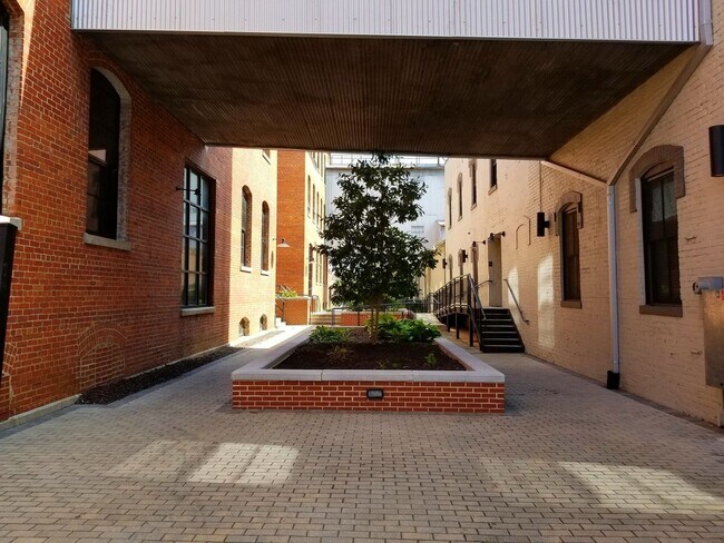 Interior Photo - The Cameron Lofts