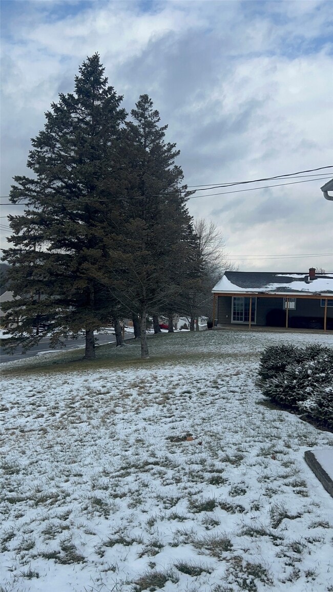 Building Photo - 1005 Murray Hill Rd