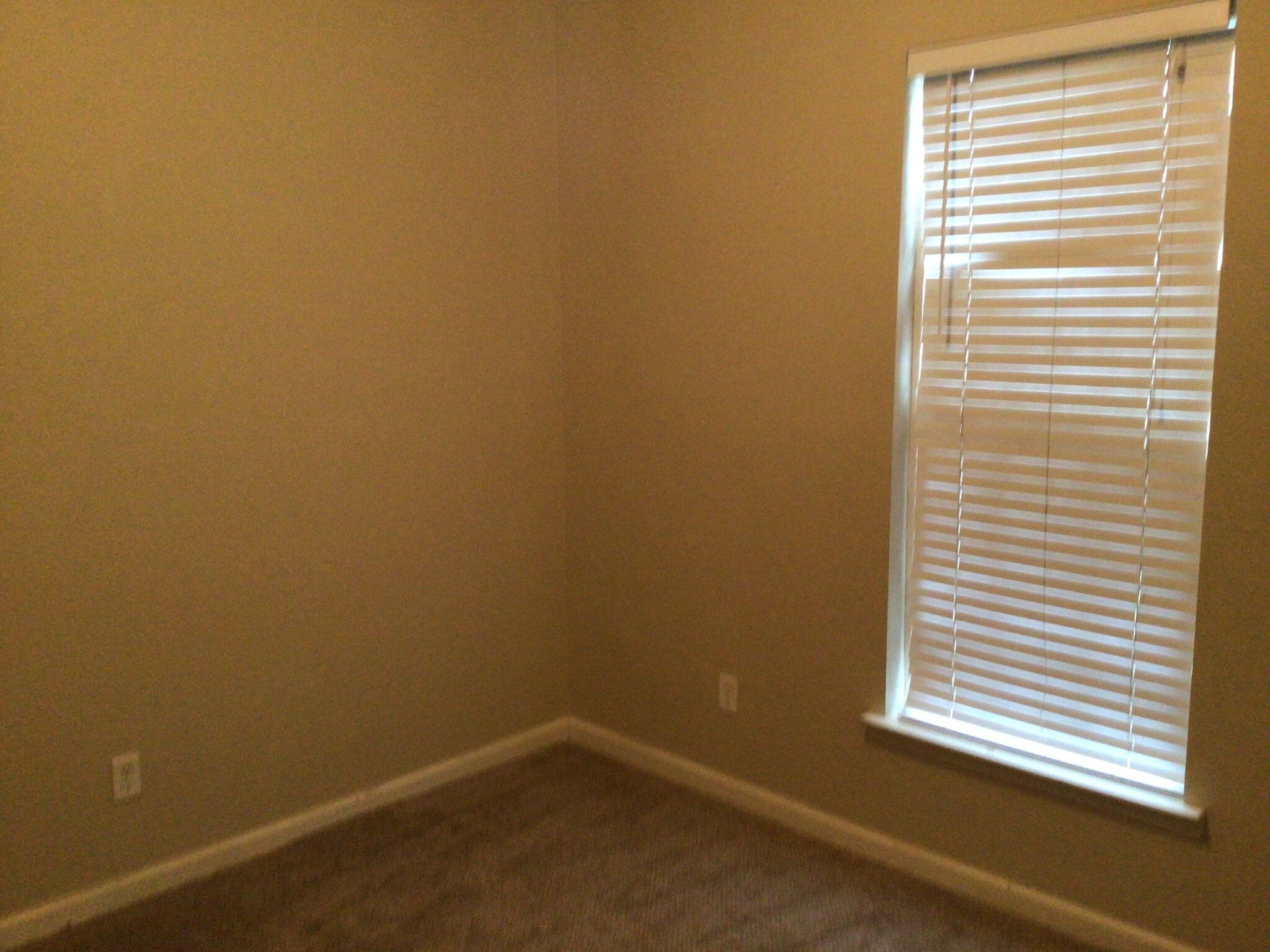 Building Photo - 26 Bay Willow Ct