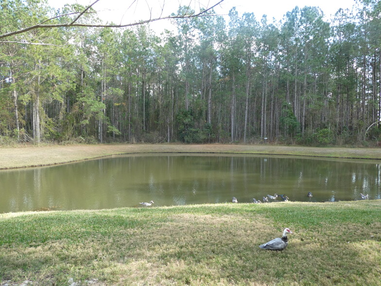 view from the patio across the lake to the woods - 212 Scrub Jay Dr