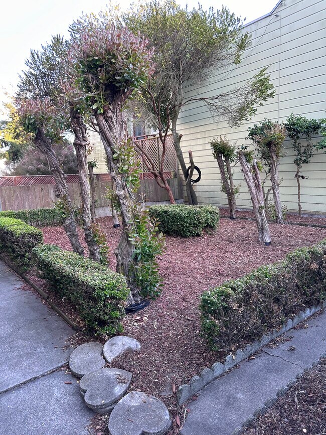 Shared yard - 302 31st Ave