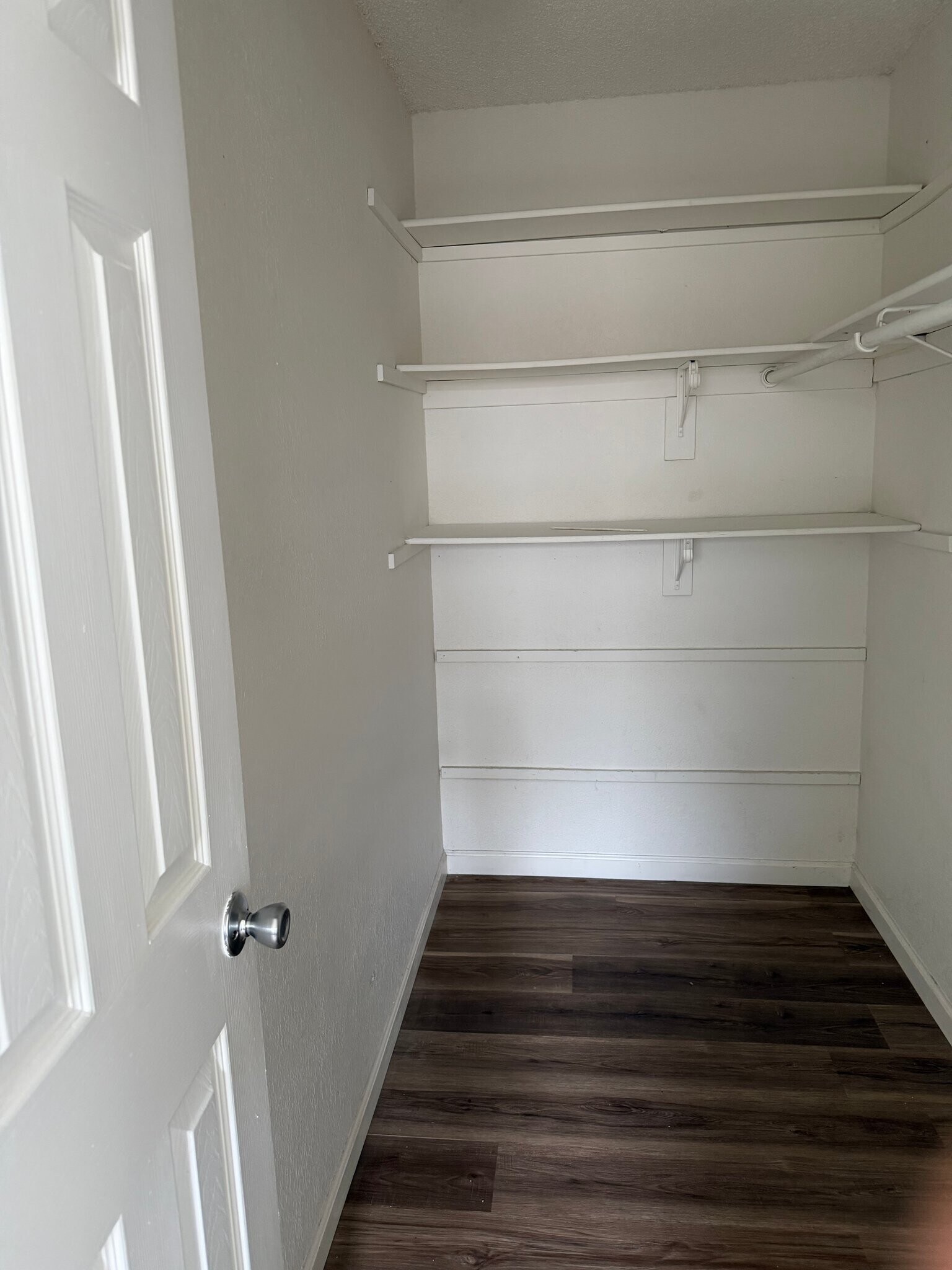 Building Photo - 2065 Colt Dr