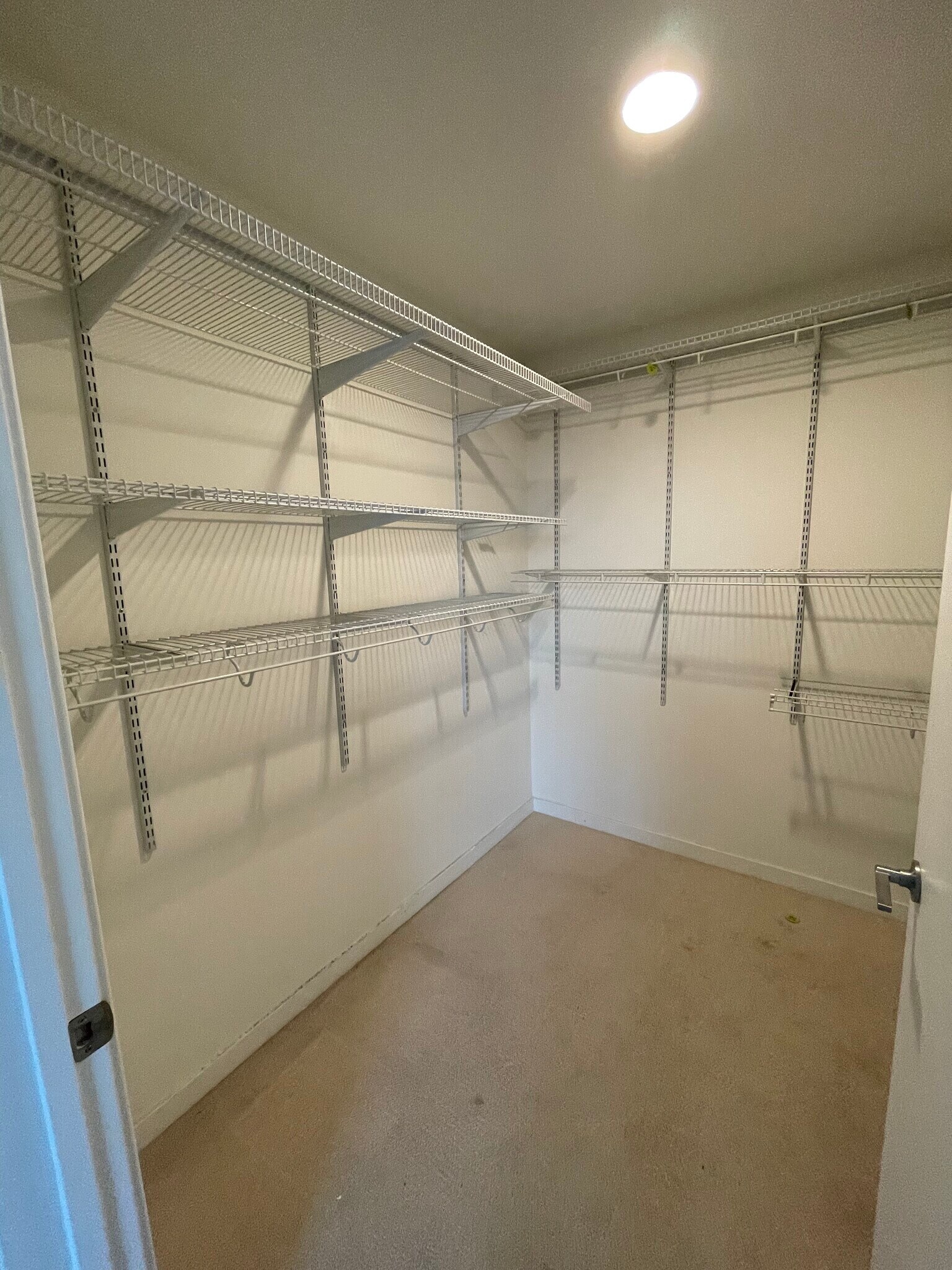 walking closet - 451 Donahue St
