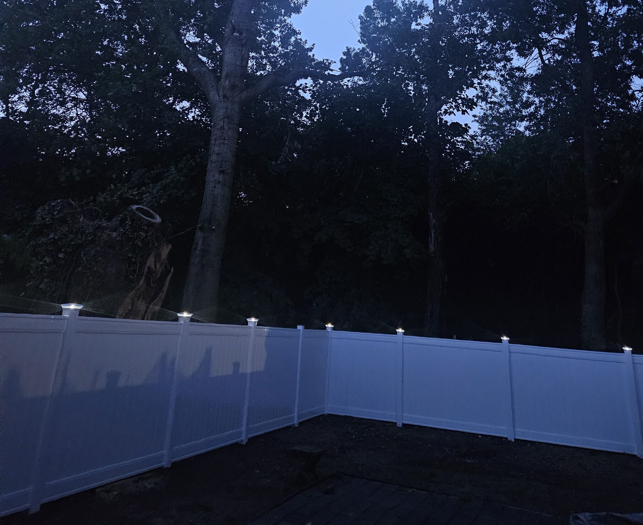 Vinyl Fence. Globe Lights - 67 Rose Ter