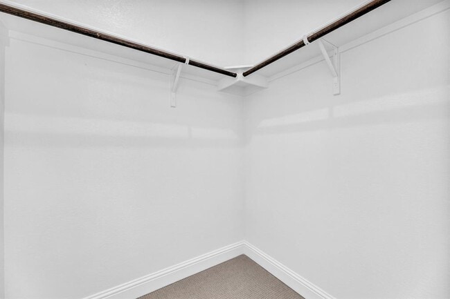 Building Photo - 4405 Apollonia Wy