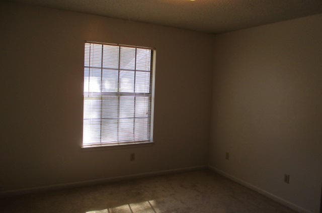 Building Photo - 114 Classic Manor Ct