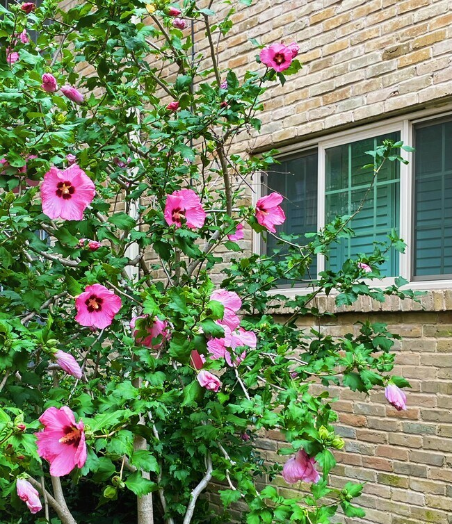 Beautiful Garden. - 7718 Royal Ln