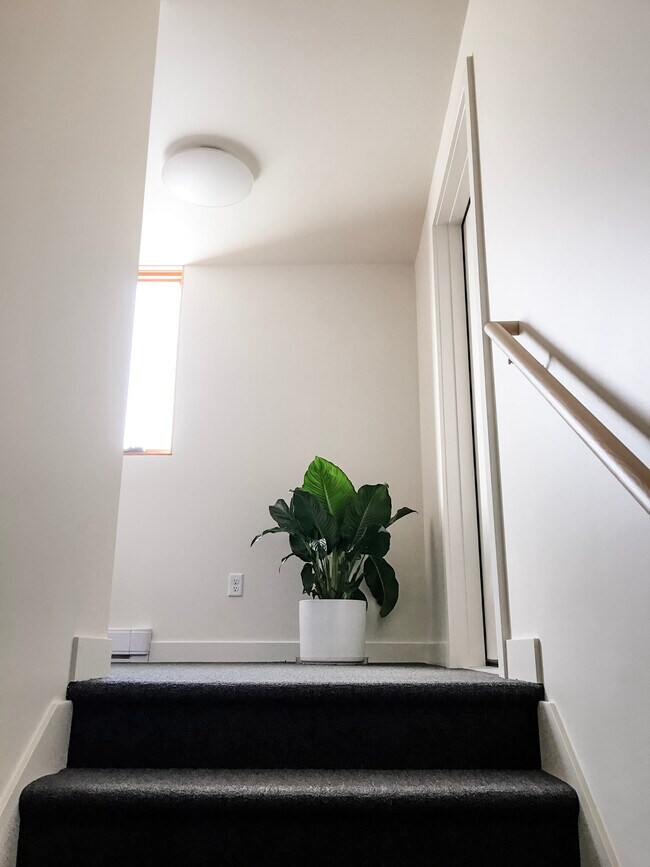 Building Photo - 926 Cleveland St.