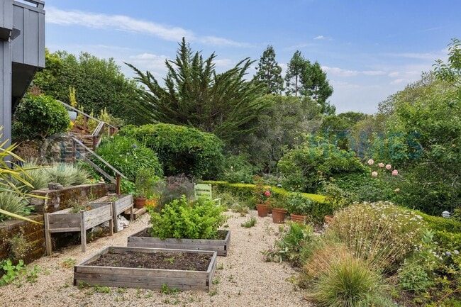 Building Photo - Furnished Mill Valley Home with Mt. Tam Views | Available Through December  - FOUNDATION