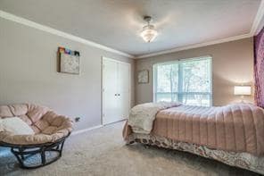 Building Photo - 1342 10 Bar Trail