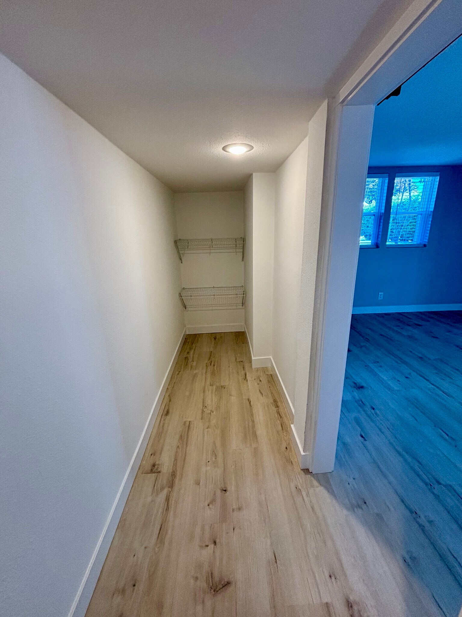 Walk in pantry with shelving - 2026 Lombard Ave