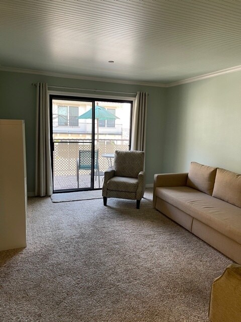 Fold out sofa avaialble for guests - 18900 Delaware St