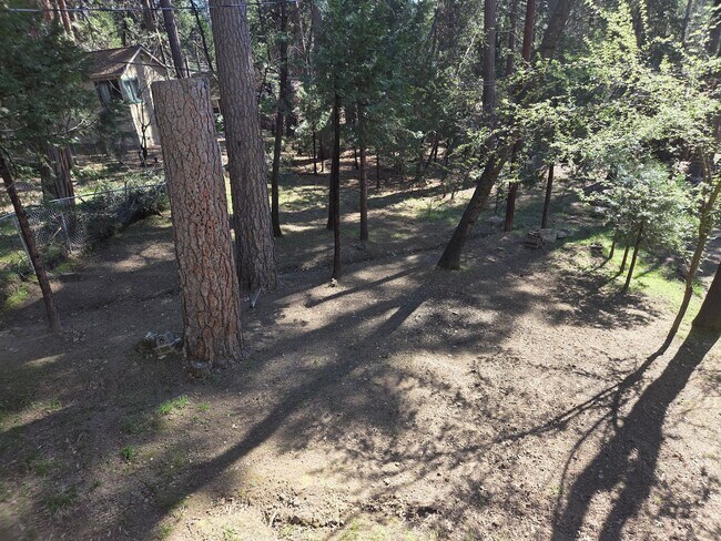 Building Photo - Twain Harte Home