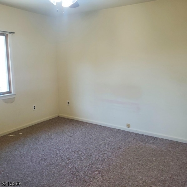 Building Photo - 527 Franklin Ave