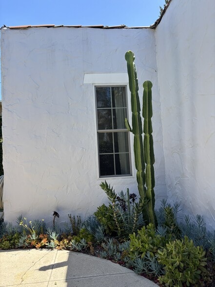 Succulent Garden Outside Bedroom Window - 848 N Kilkea Dr