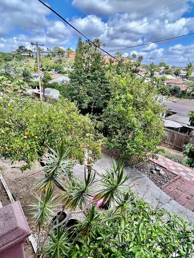 Building Photo - 4 Bedroom 3 bath Home In Rolando Village