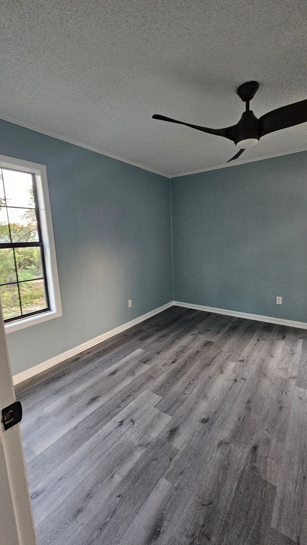 Building Photo - Beautiful 4BR 2BA home in Lakeland, GA