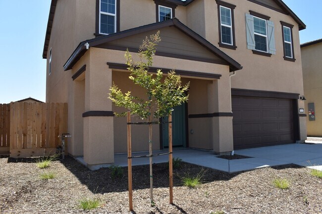 Building Photo - 4624 Athena Dr