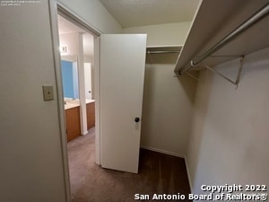 Building Photo - 2111 Domal Ln