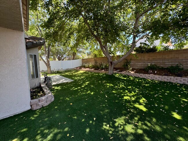 Backyard - 44215 Danya Ln