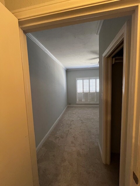 Building Photo - 4349 Bellaire Dr S