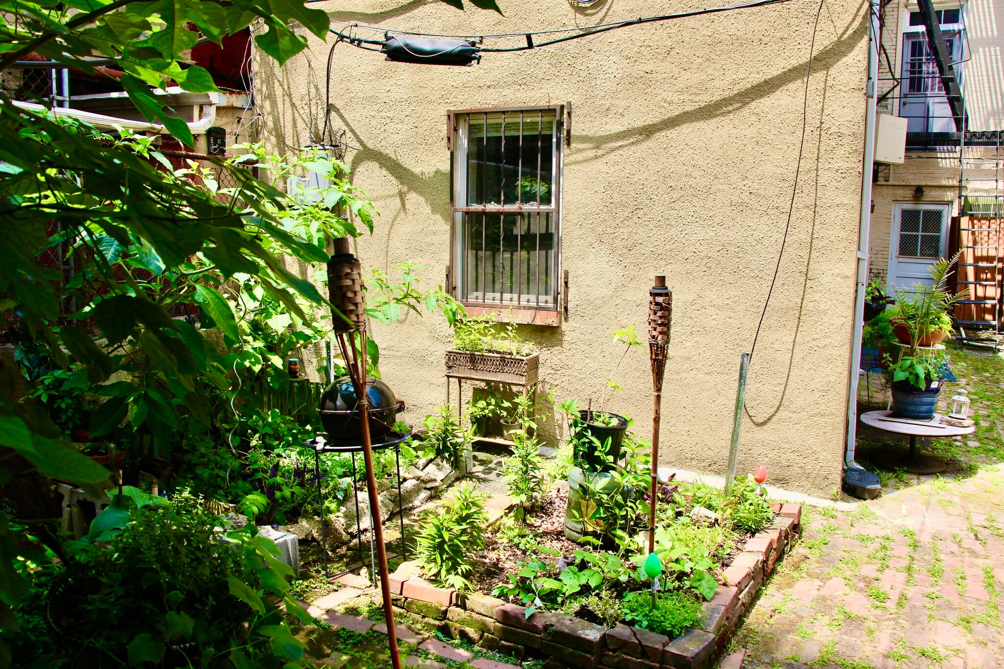 Courtyard garden - 21 E Centre St