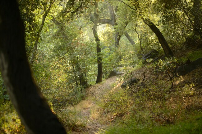 One of many neighborhood hiking trails. - 607 Buena Loma St