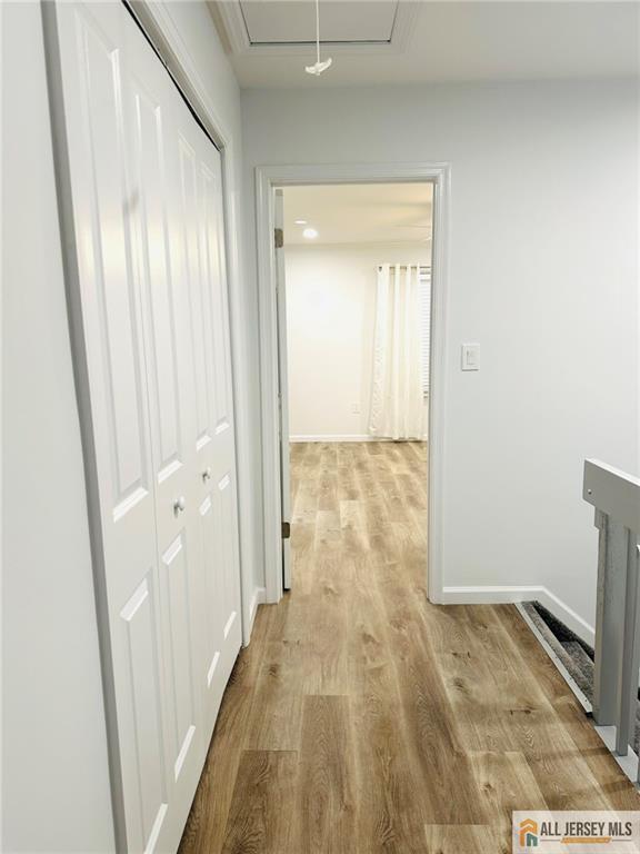 Building Photo - 16 Gerard Pl